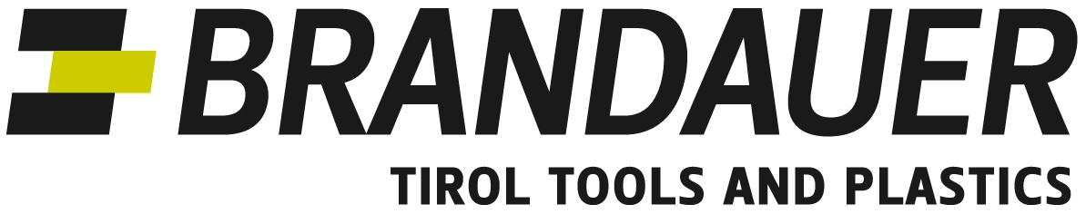 Ing. Raimund Brandauer GmbH Logo